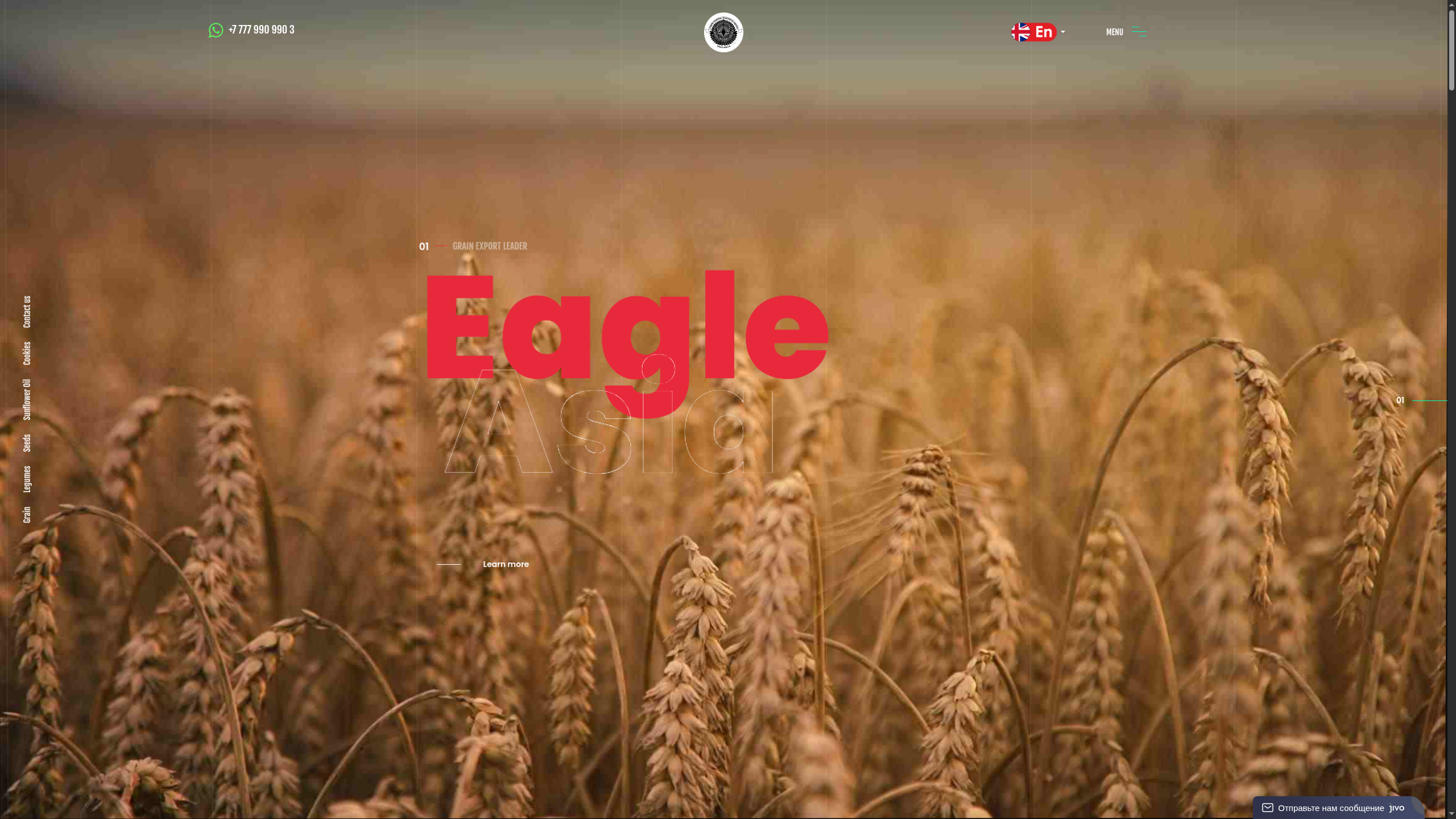 Eagle Asia — live website